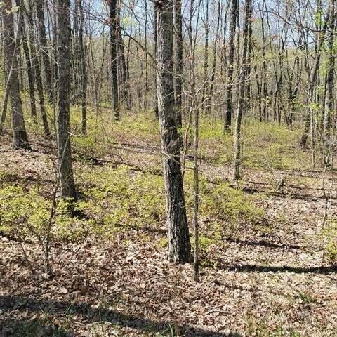 30 B Cosmos Trail, Unit 30B Dunlap, TN 37327 - Photo 40 of 41 Sammy 10