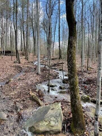 30 B Cosmos Trail, Unit 30B Dunlap, TN 37327 - Photo 4 of 41 Sammy 5