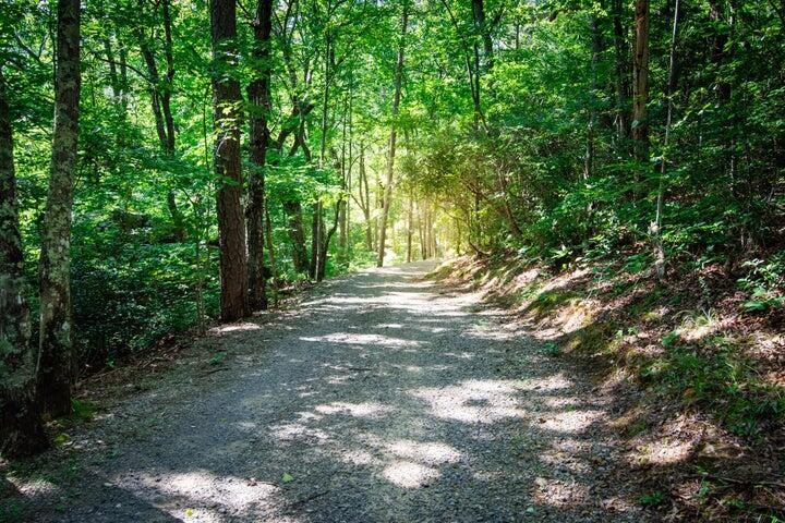 30 B Cosmos Trail, Unit 30B Dunlap, TN 37327 - Photo 41 of 41 Sammy 14