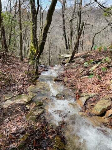 30 B Cosmos Trail, Unit 30B Dunlap, TN 37327 - Photo 5 of 41 Sammy 12