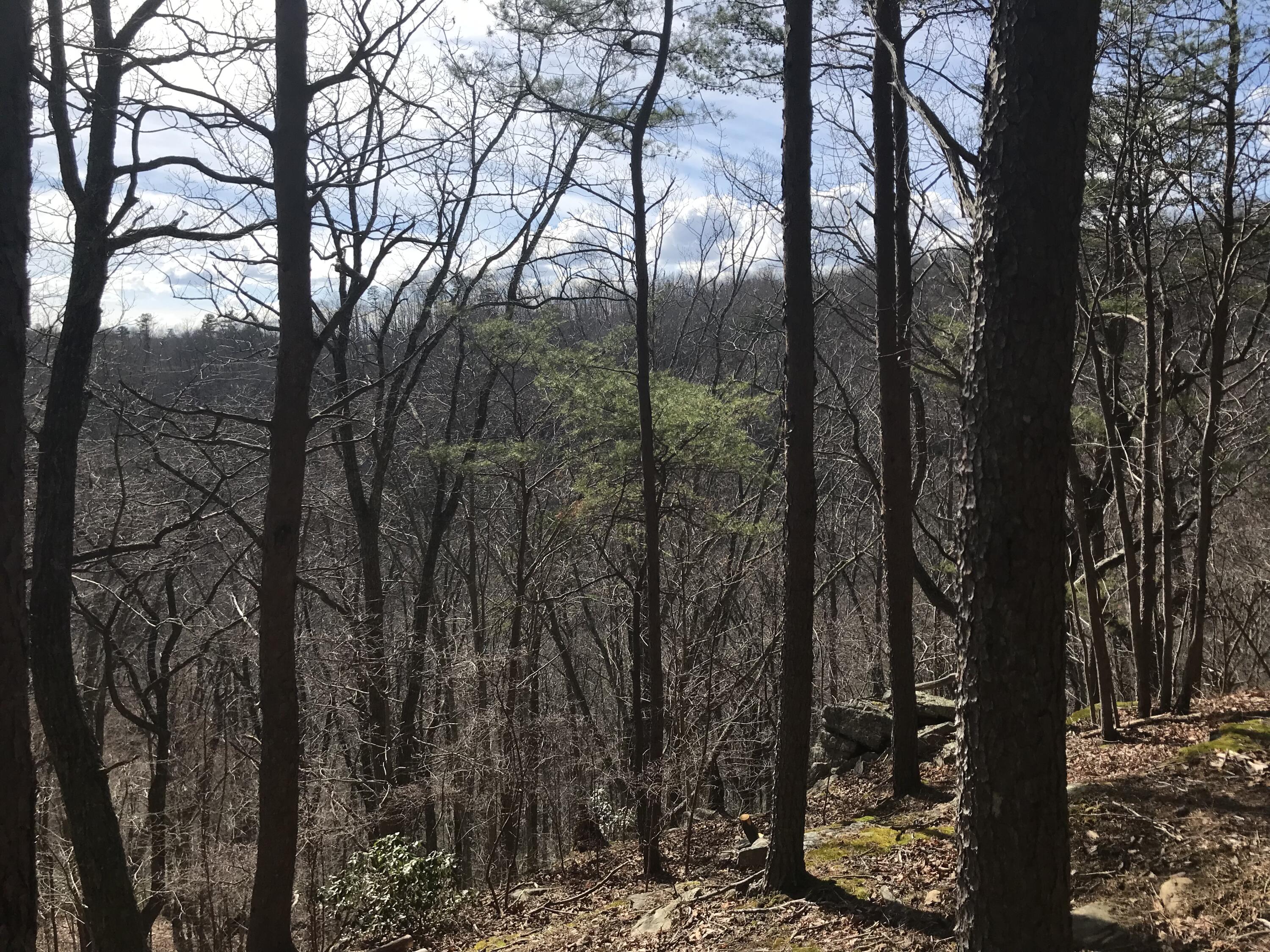 30 B Cosmos Trail, Unit 30B Dunlap, TN 37327 - Photo 6 of 41 IMG_7602