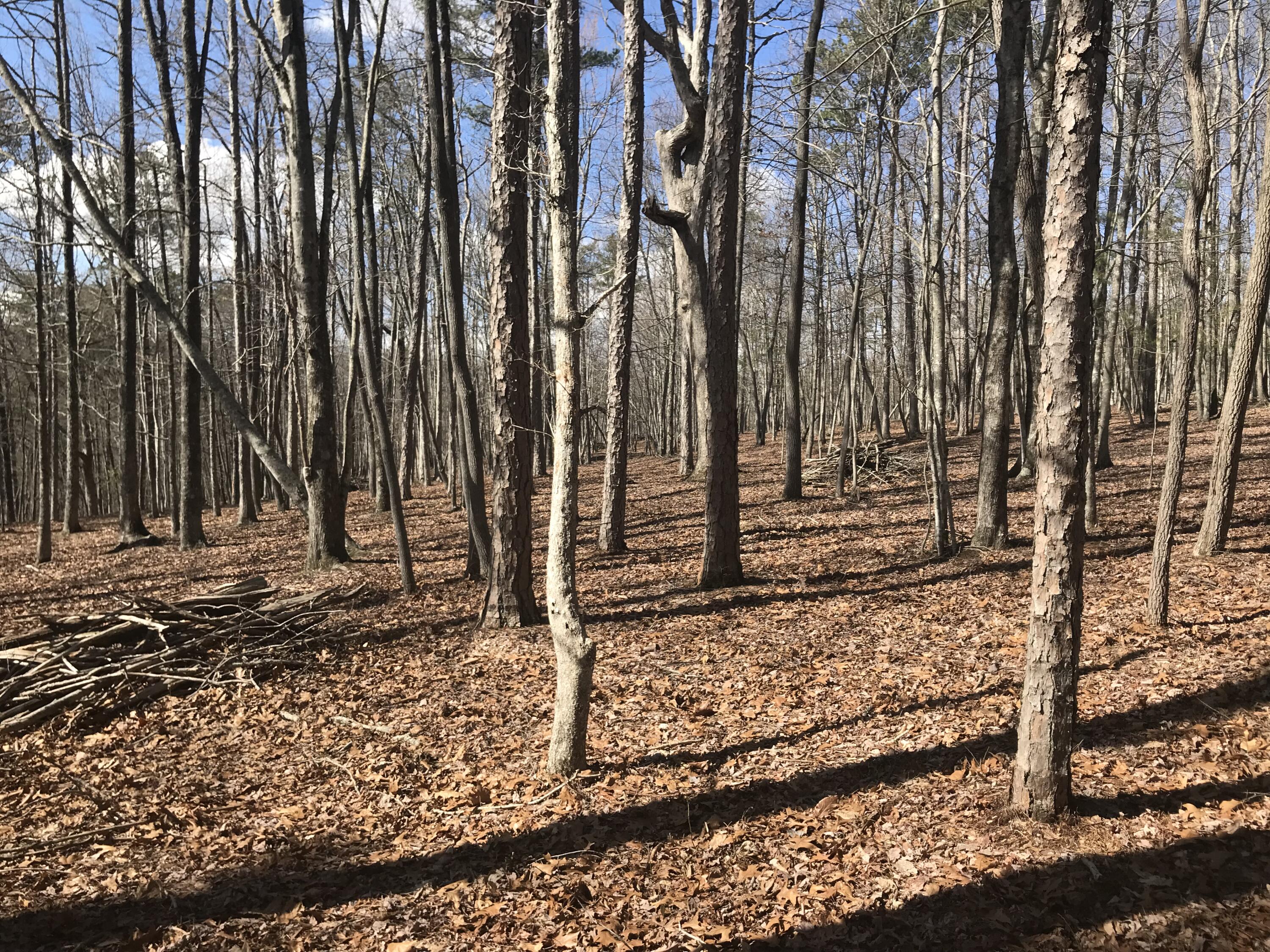 30 B Cosmos Trail, Unit 30B Dunlap, TN 37327 - Photo 8 of 41 IMG_7564