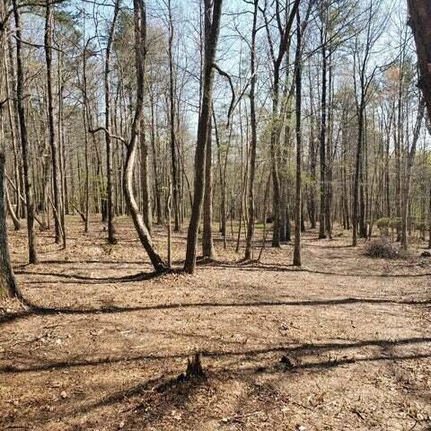 30 B Cosmos Trail, Unit 30B Dunlap, TN 37327 - Photo 10 of 41 Sammy 11