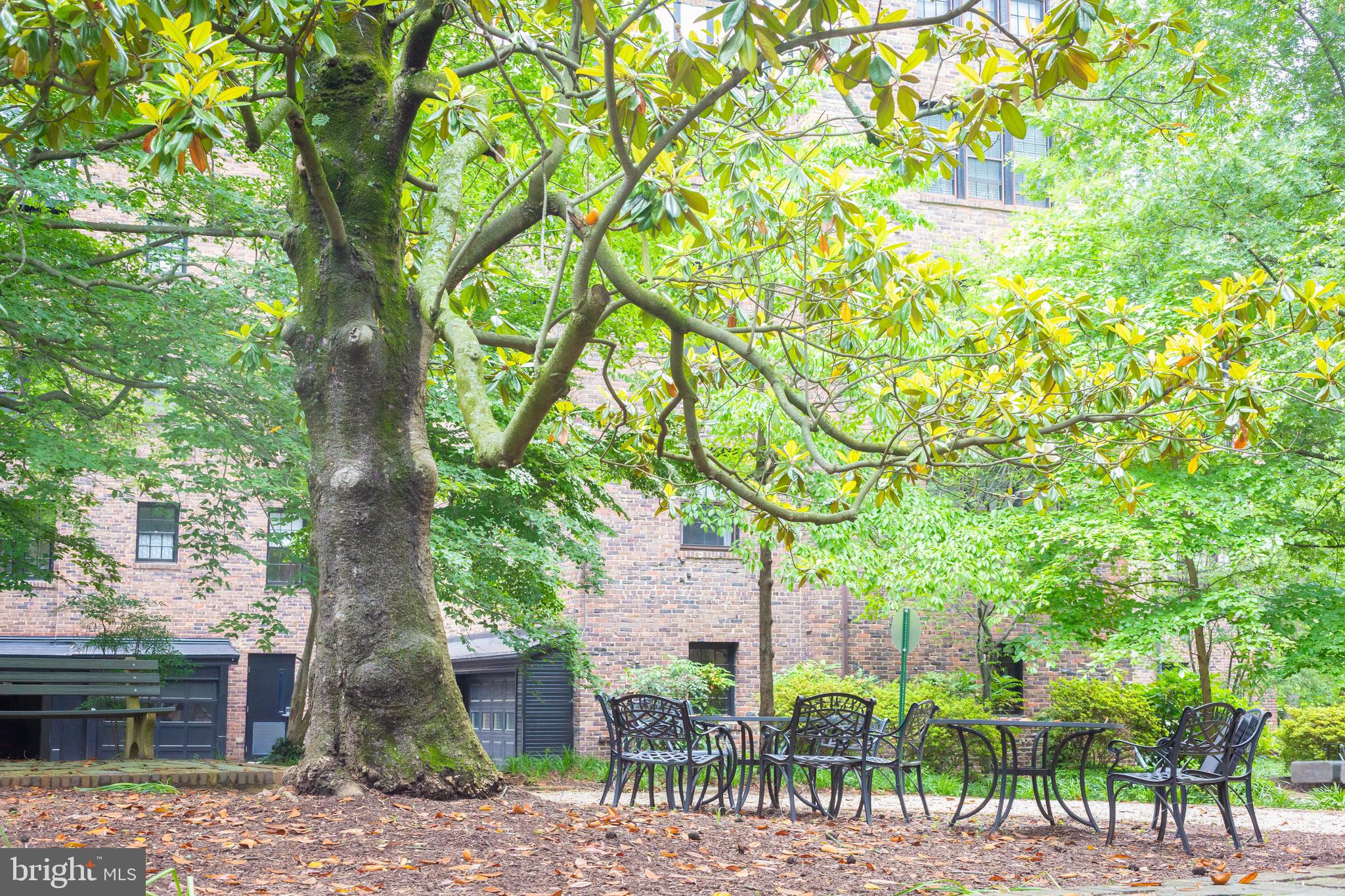 3900 Connecticut Avenue Northwest, Unit 306F Washington, DC 20008 - Photo 26 of 33 a backyard of a house with lots of green space and fountain