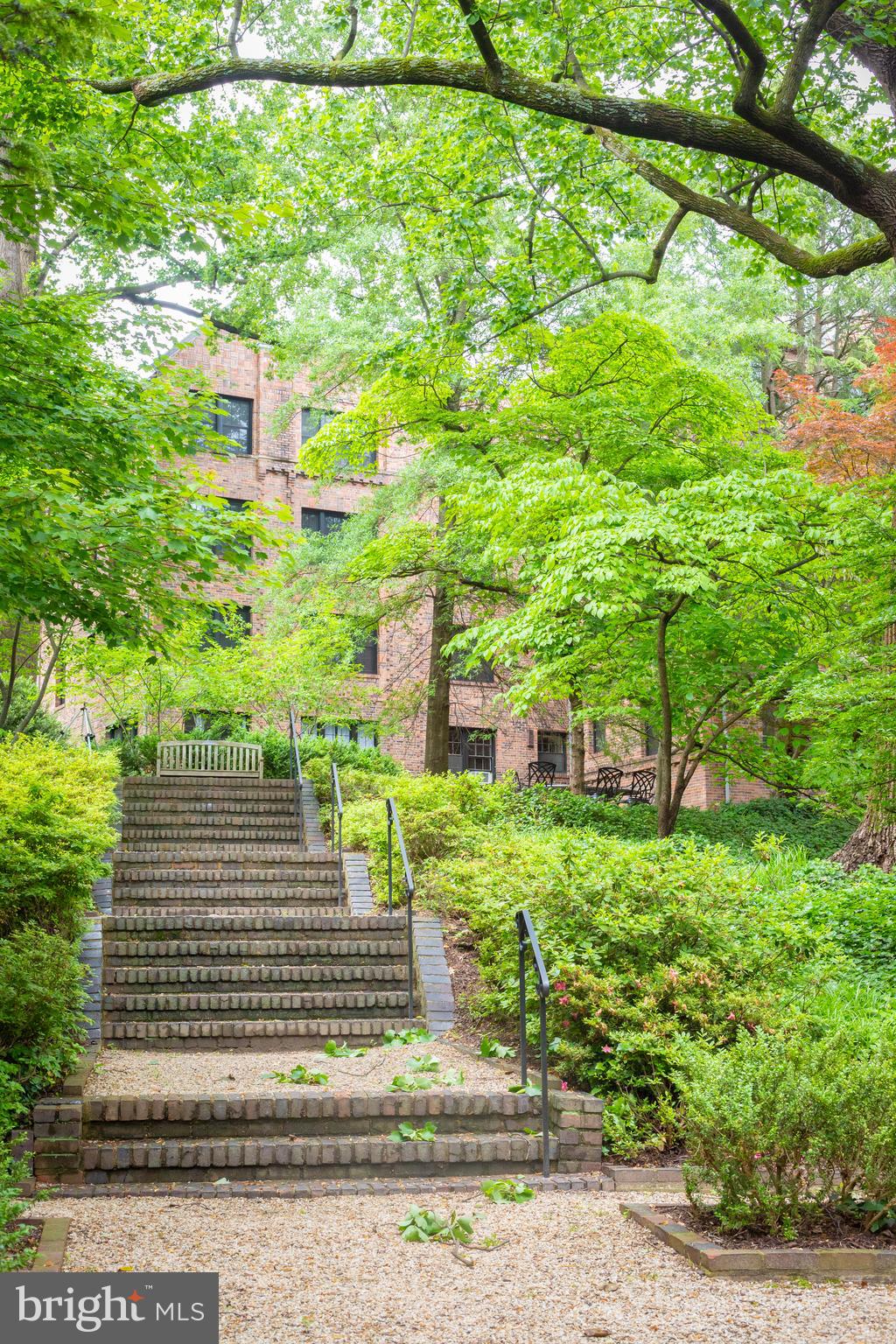 3900 Connecticut Avenue Northwest, Unit 306F Washington, DC 20008 - Photo 29 of 33 a view of a yard with plants