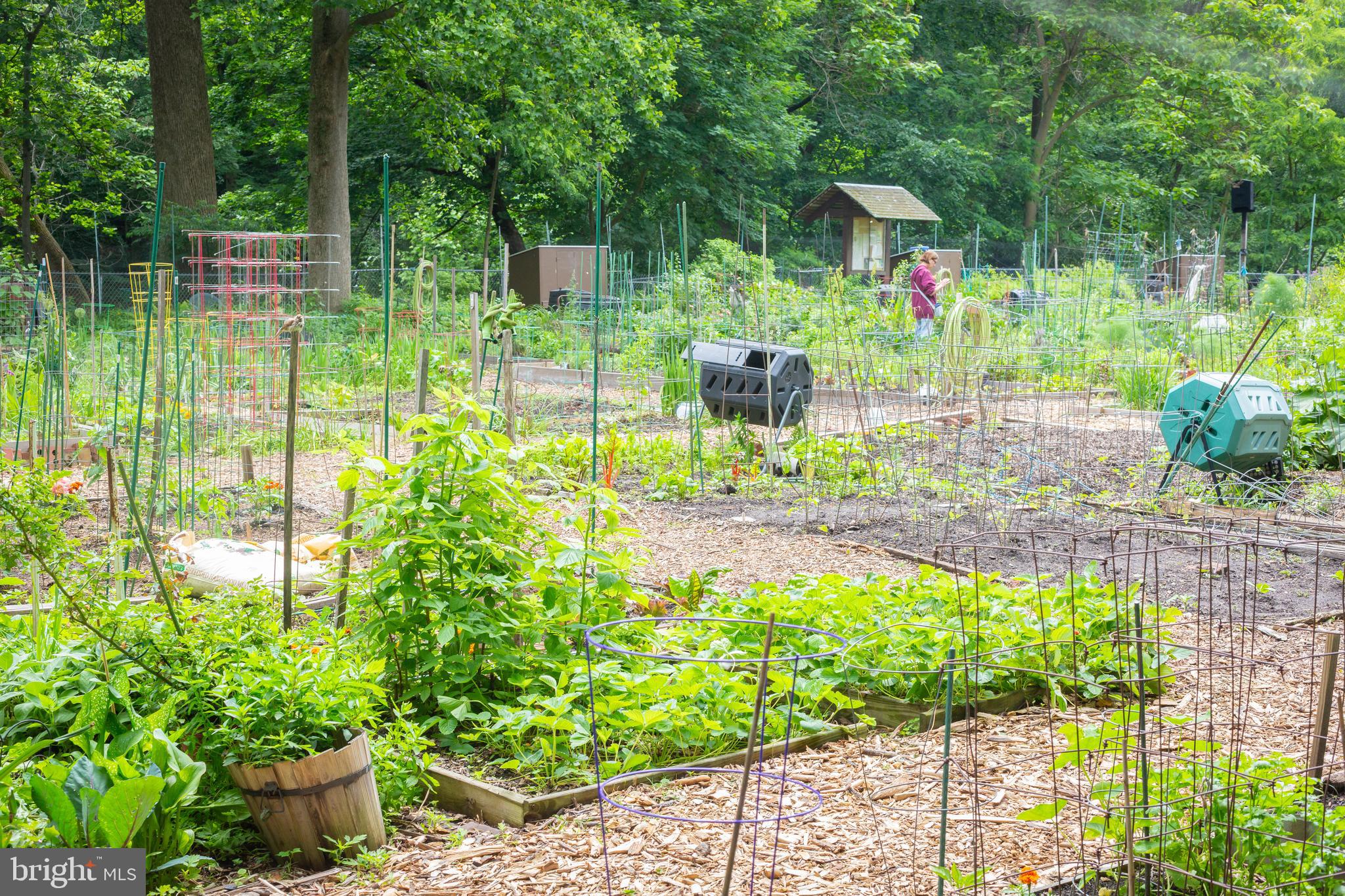 3900 Connecticut Avenue Northwest, Unit 306F Washington, DC 20008 - Photo 32 of 33 a backyard of a chair and potted plants
