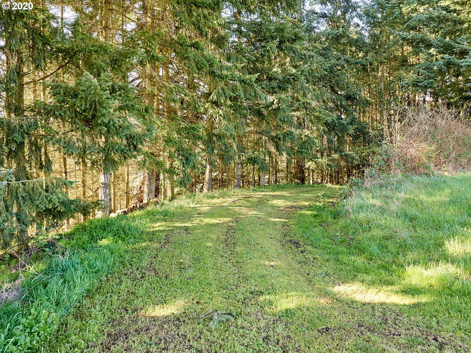 28001 South Meridian Road Aurora, OR 97002 - Photo 14 of 32