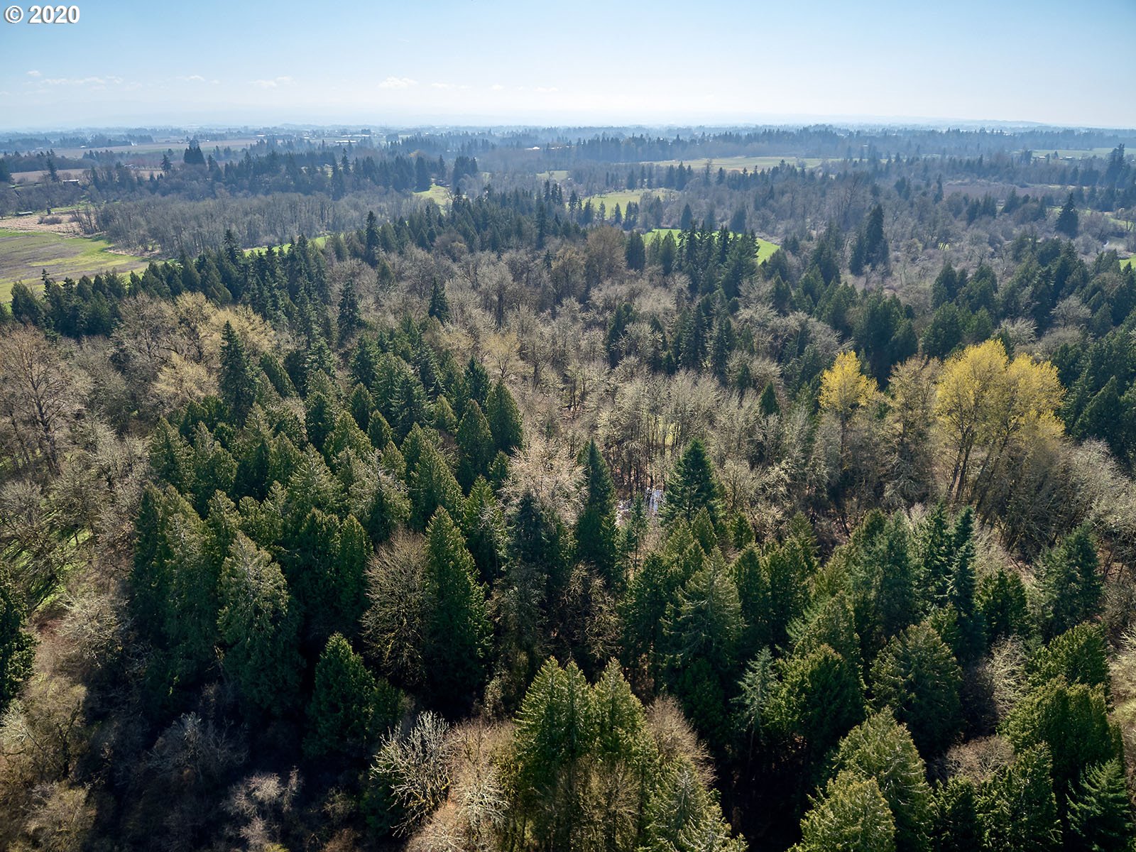 28001 South Meridian Road Aurora, OR 97002 - Photo 8 of 32