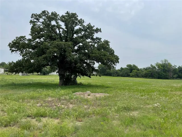 a view of a field of grass and trees