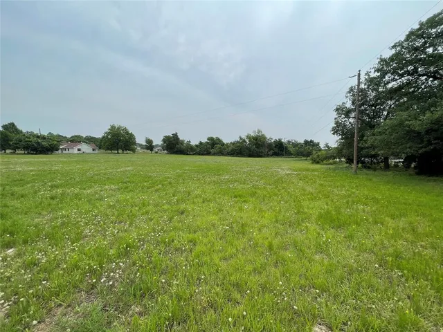 a view of a grassy field with trees
