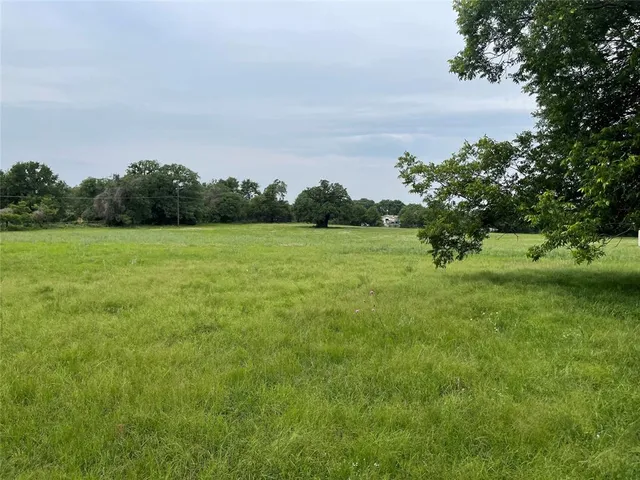 a view of a field with trees in the background