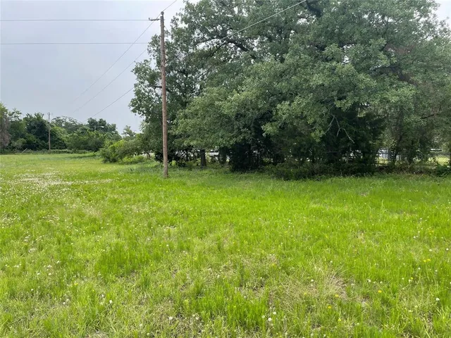 a view of a green yard
