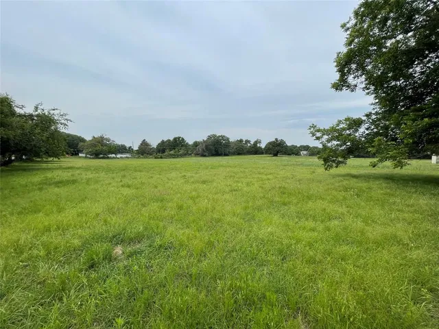 a view of a grassy field with trees