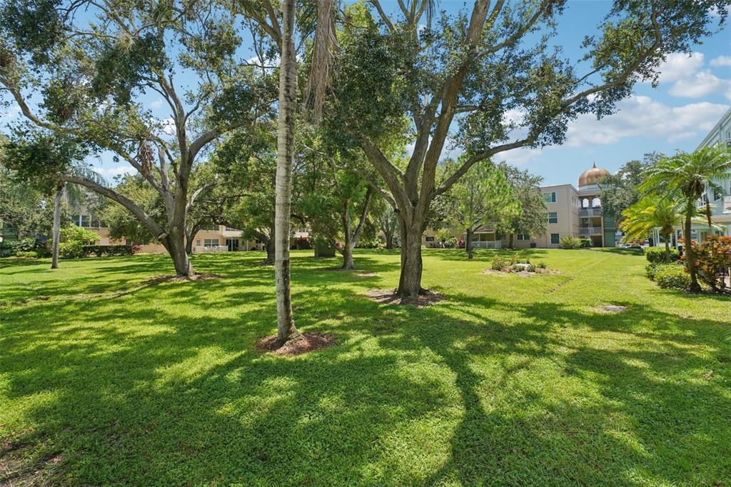 2255 Philippine Drive, Unit 9 Clearwater, FL 33763 - Photo 31 of 47 a view of a park with trees