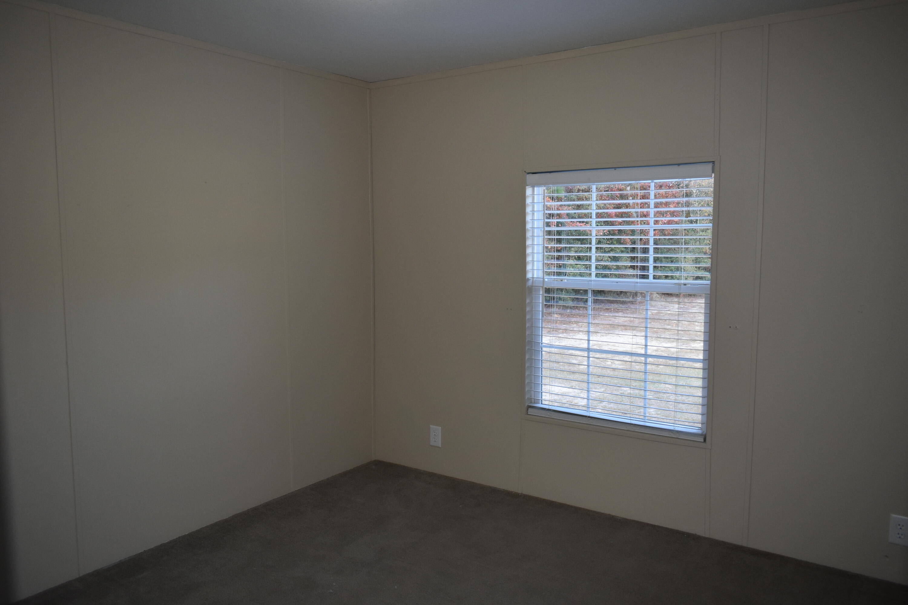 192 Pearl Bonnett Road Windsor, SC 29856 - Photo 19 of 25