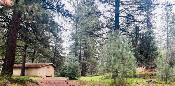 a view of a house with a tree