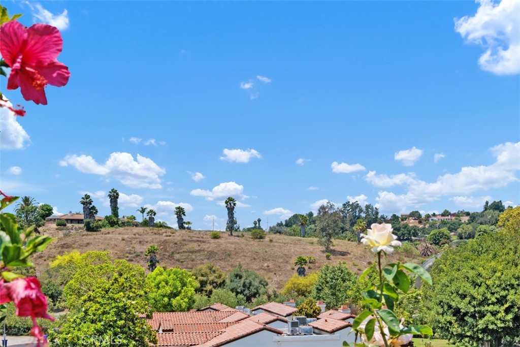 1744 Woodlark Lane Fallbrook, CA 92028 - Photo 33 of 38