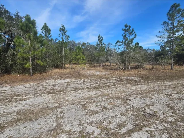 $20,000 | 0 Portulaca Drive, Frostproof, FL 33843