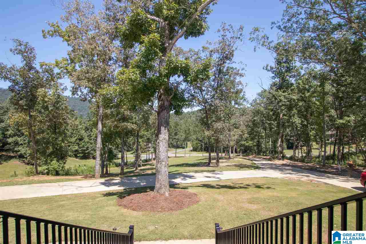 504 Aubra Road Steele, AL 35987 - Photo 47 of 50