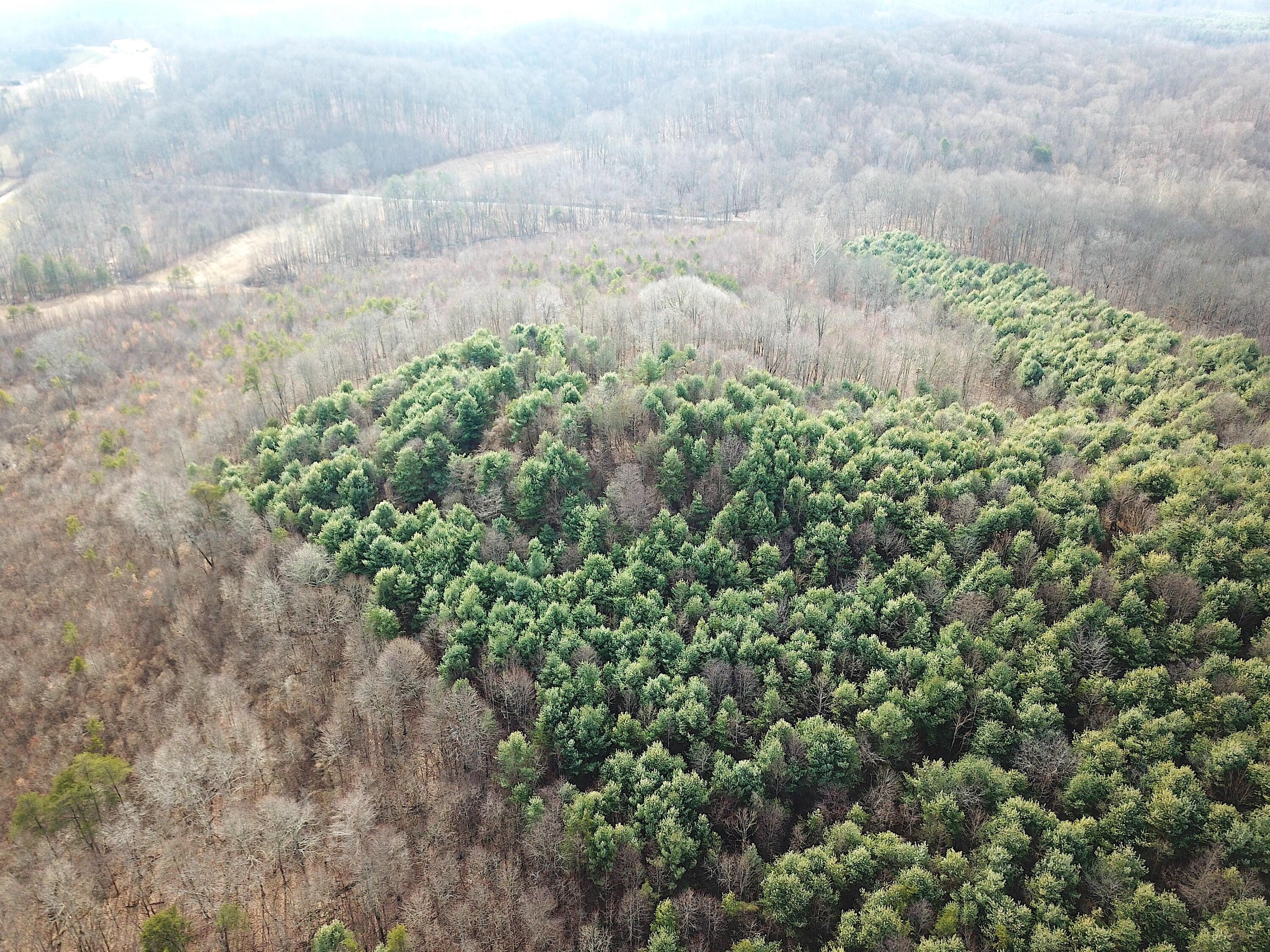 0 Minerton Chapel Road Vinton, OH 45686 - Photo 24 of 25 DJI_0232