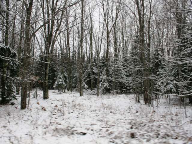 On Hietanen Road Iron River, MI 49935 - Photo 5 of 13 Gallery Image 5