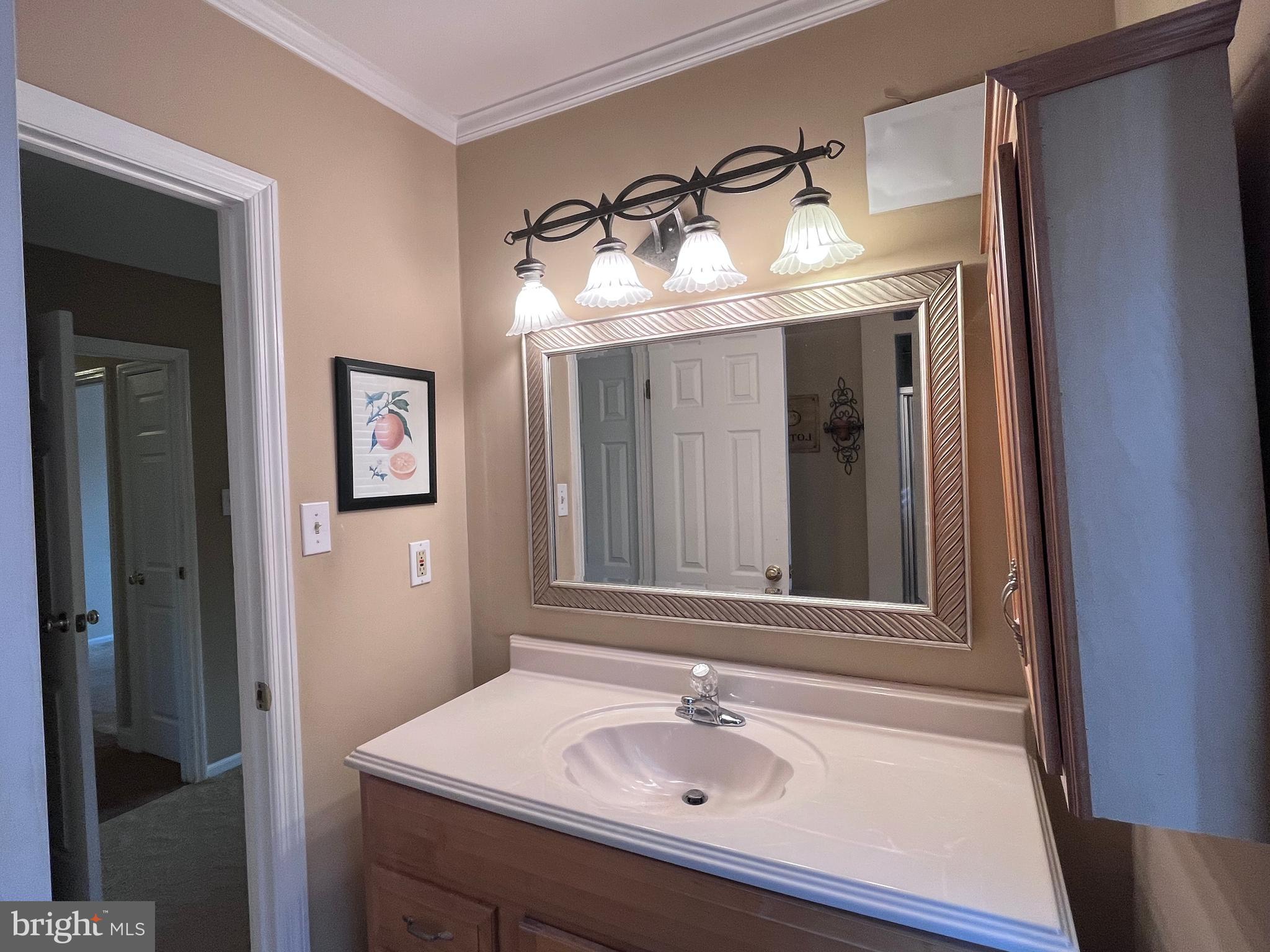 145 Joanne Road Holland, PA 18966 - Photo 39 of 54 a bathroom with a sink and a mirror