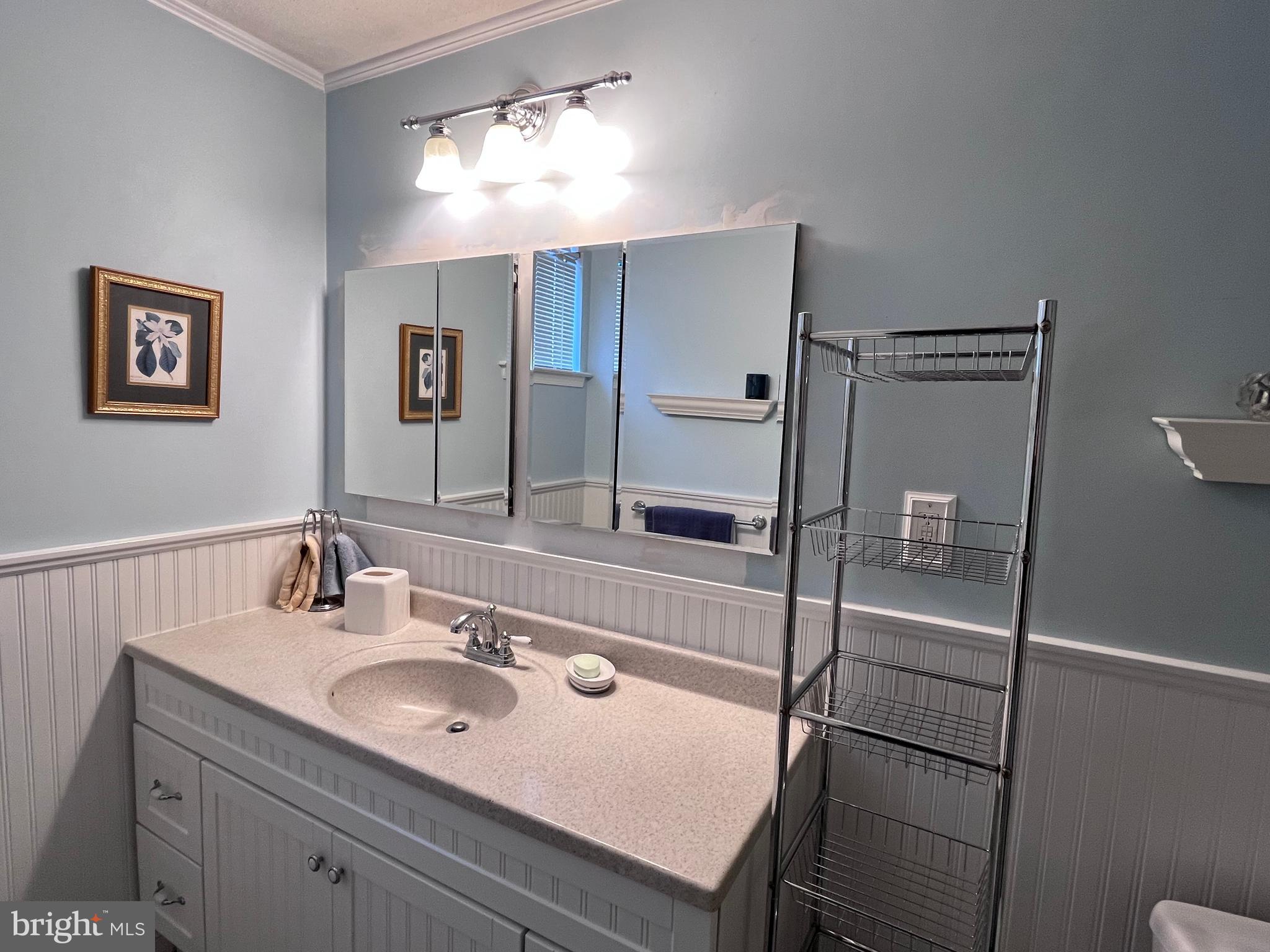 145 Joanne Road Holland, PA 18966 - Photo 49 of 54 a bathroom with a sink and a mirror