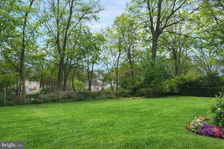 145 Joanne Road Holland, PA 18966 - Photo 53 of 54 Beautiful back yard