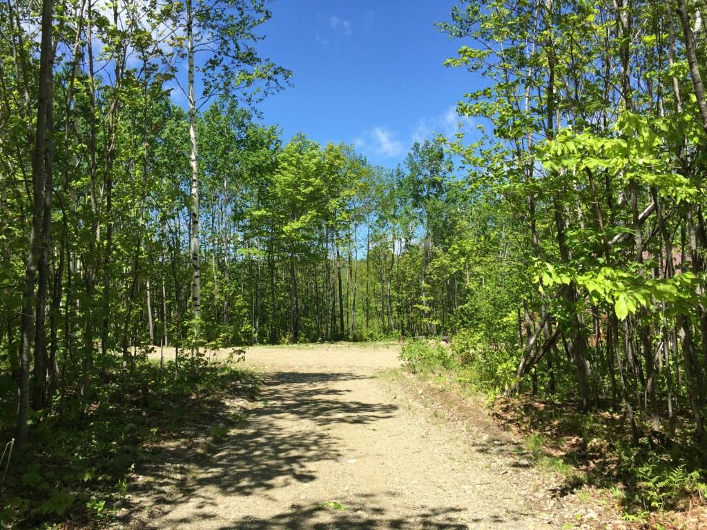 Lot 4 Rover Road Dixfield, ME 04224 - Photo 21 of 34 Driveway - house is on the right,...