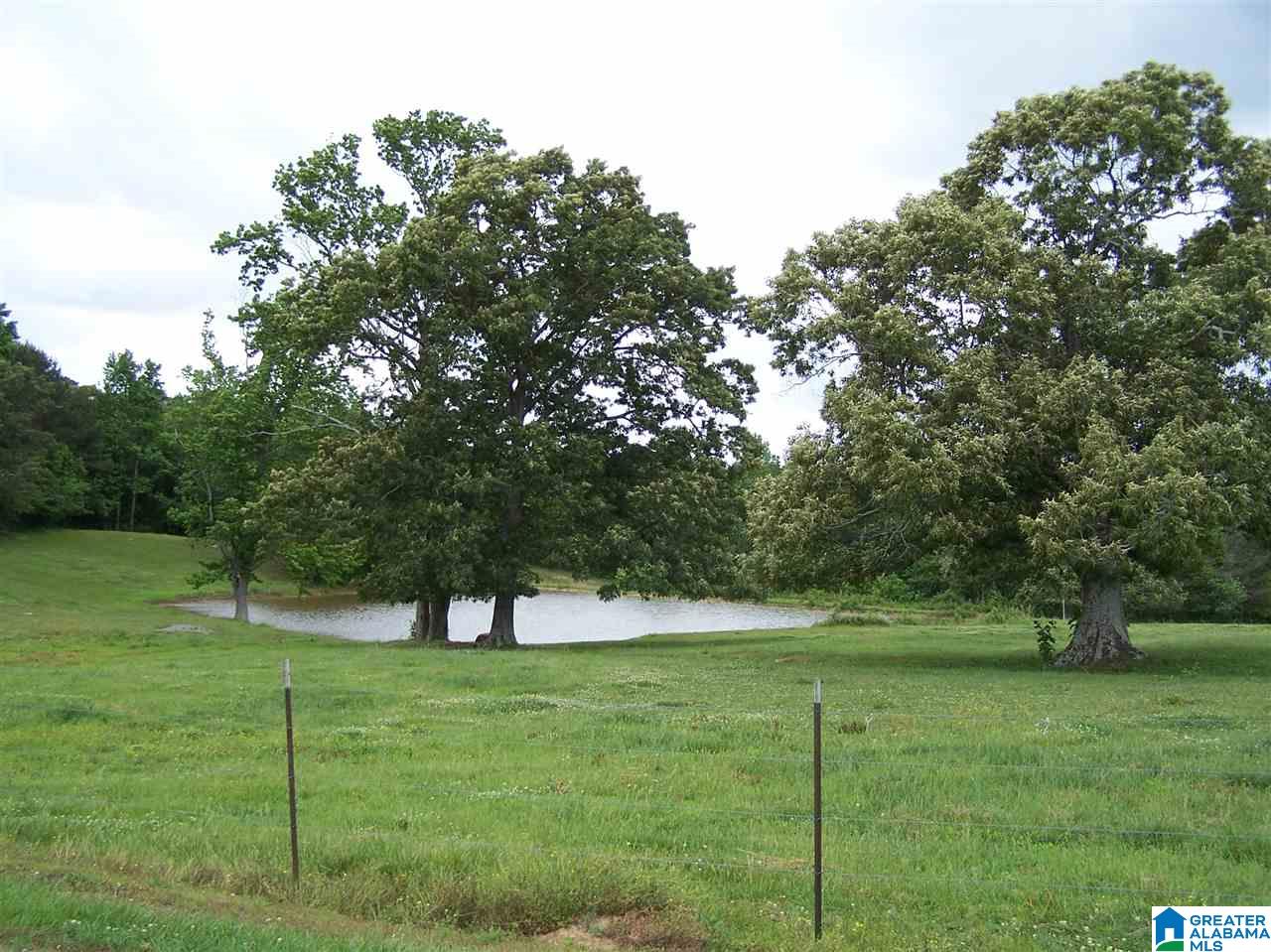 1595 Robin Hill Road Oneonta, AL 35121 - Photo 2 of 48