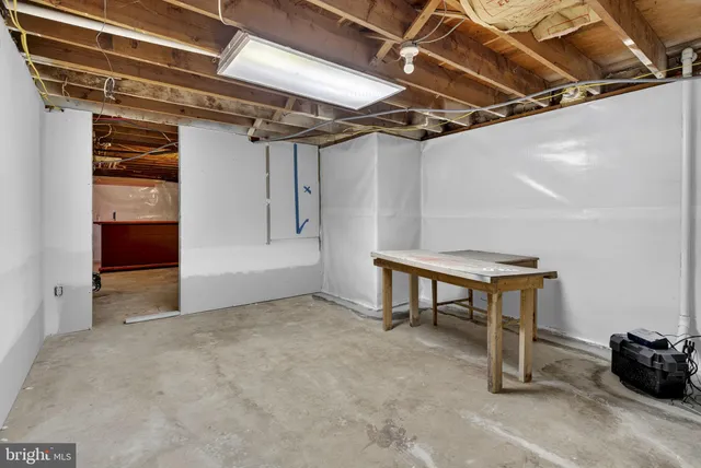 a view of yard with tree and green space