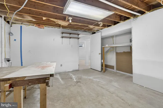 a view of a yard with a large trees