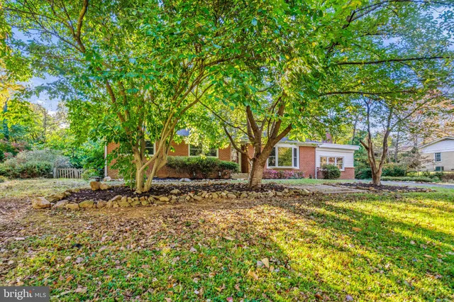 a view of a house with a tree in the yard