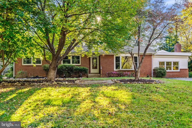a view of a yard in front of a house with plants and large tree