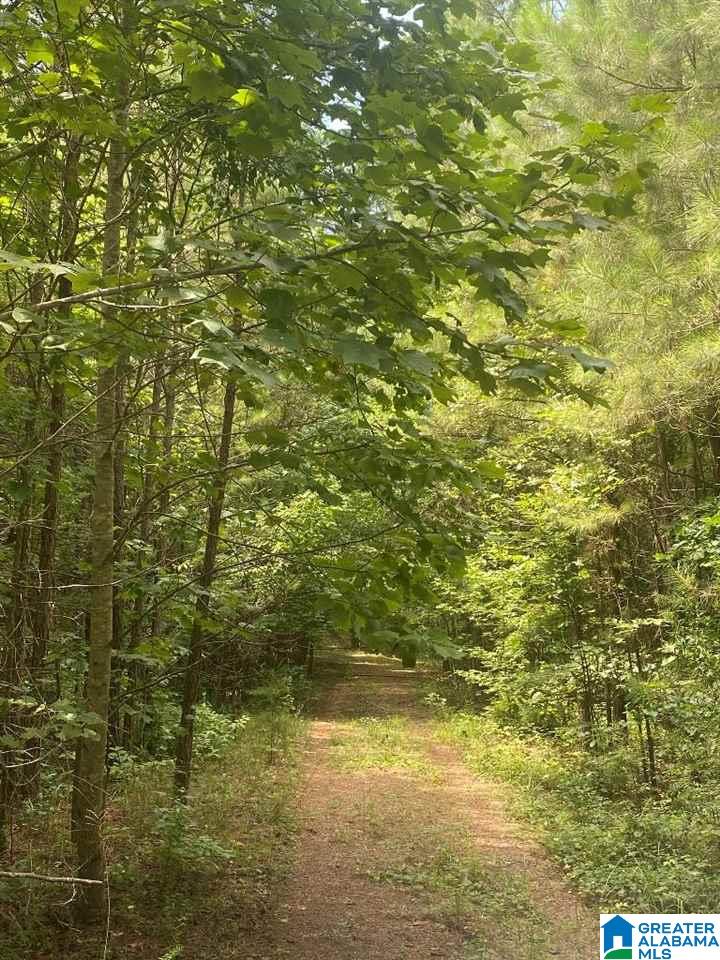 99 County Road, Unit 39 Wedowee, AL 36278 - Photo 2 of 11