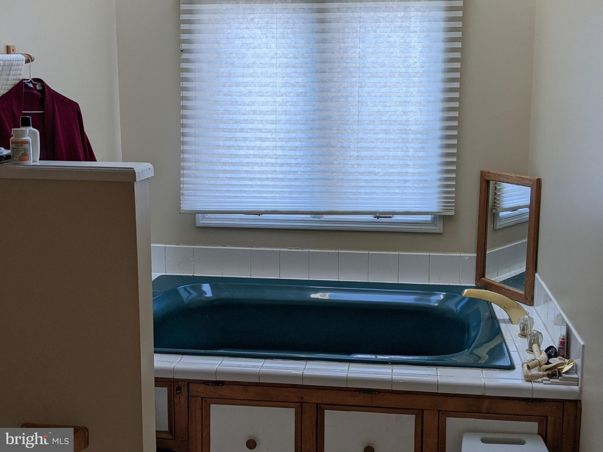 201 Rolling Road Chestertown, MD 21620 - Photo 8 of 18 First floor bath features Jacuzzi Tub