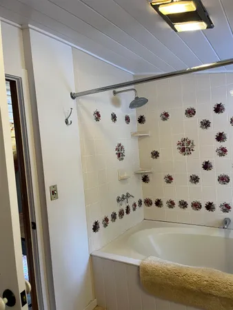 a bathroom with a bathtub and shower
