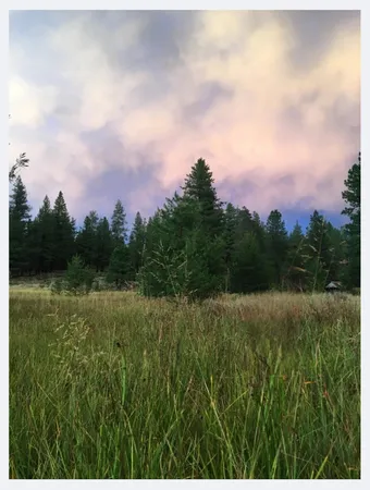 a view of a green field with lots of green space