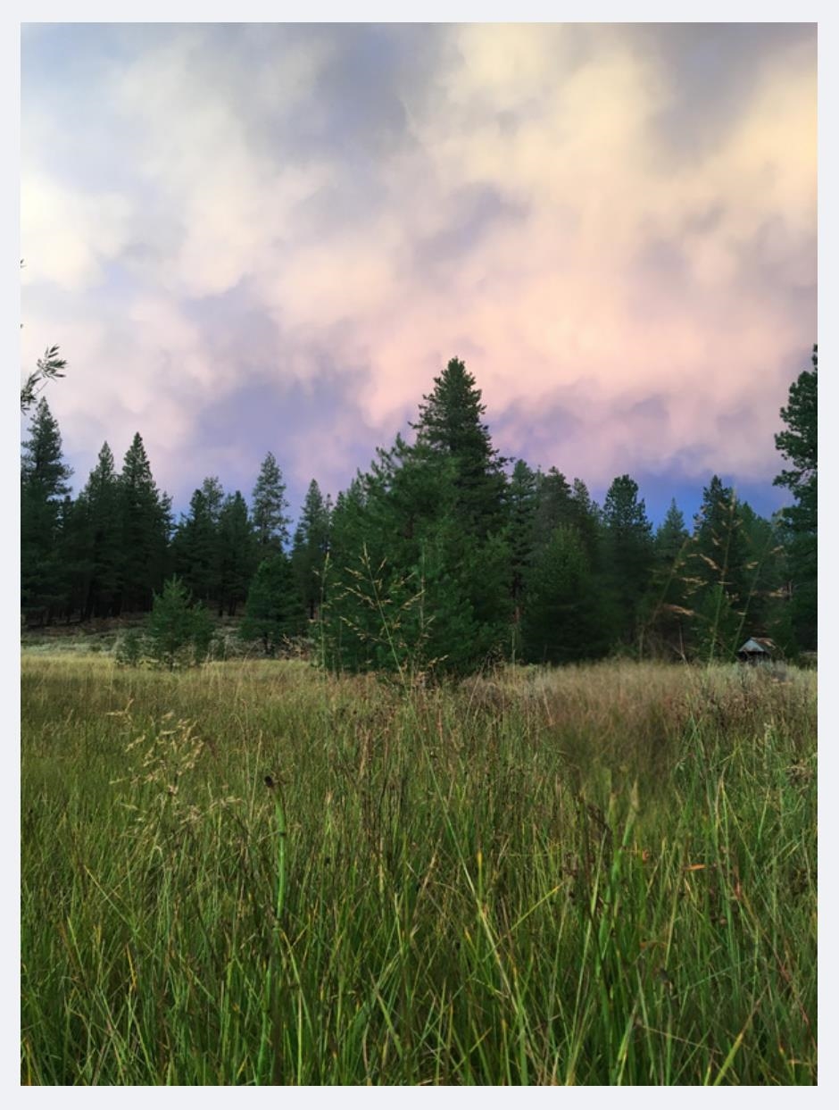 16527 Robertson Road Truckee, CA 96161 - Photo 3 of 4