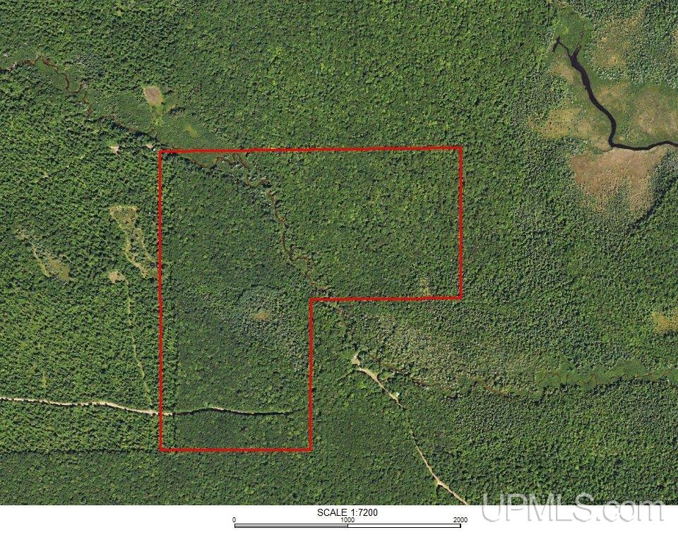 450 Rd Seney Mi 49883 Road Seney, MI 49883 - Photo 32 of 33