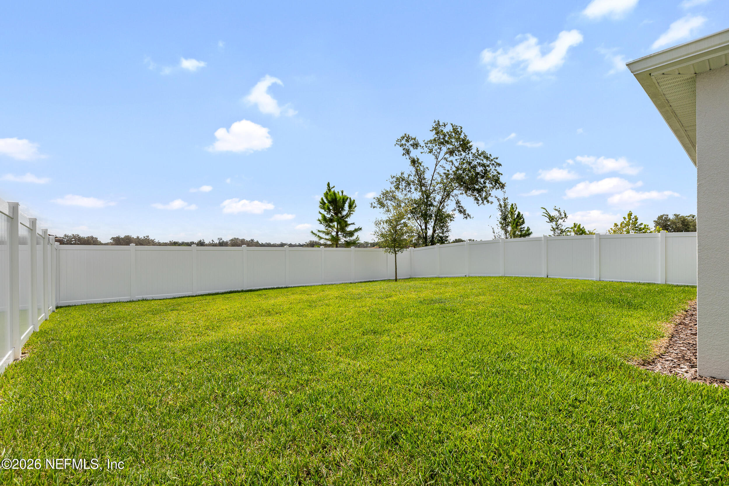 6416 Timberdale Avenue Wesley Chapel, FL 33545 - Photo 31 of 44 Backyard