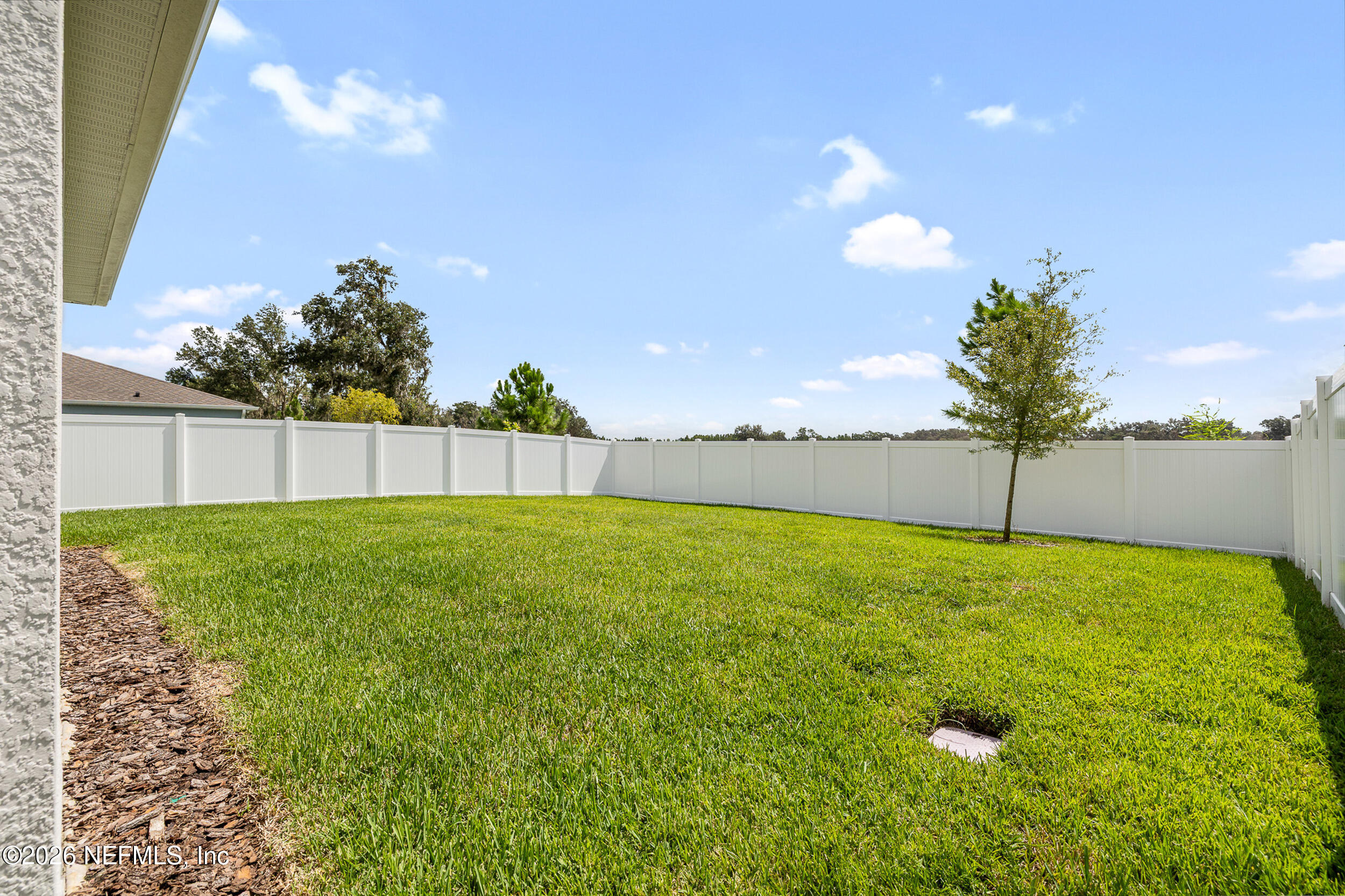 6416 Timberdale Avenue Wesley Chapel, FL 33545 - Photo 34 of 44 Backyard