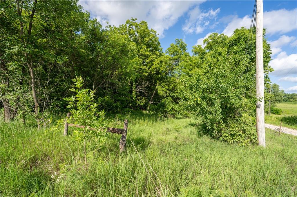 1705 Pawnee Road Pomona, KS 66076 - Photo 12 of 17