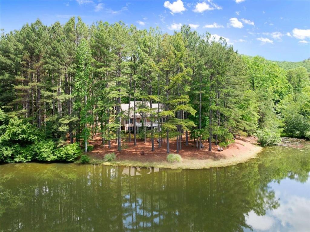 404 Golden Delicious Road Clarkesville, GA 30523 - Photo 73 of 100