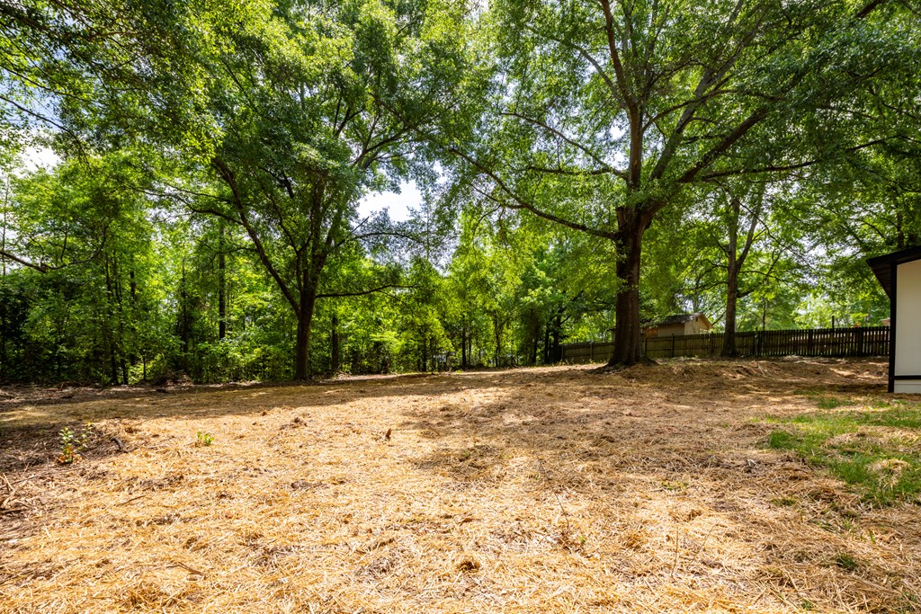 344 Lee Road, Unit 379 Salem, AL 36874 - Photo 25 of 28