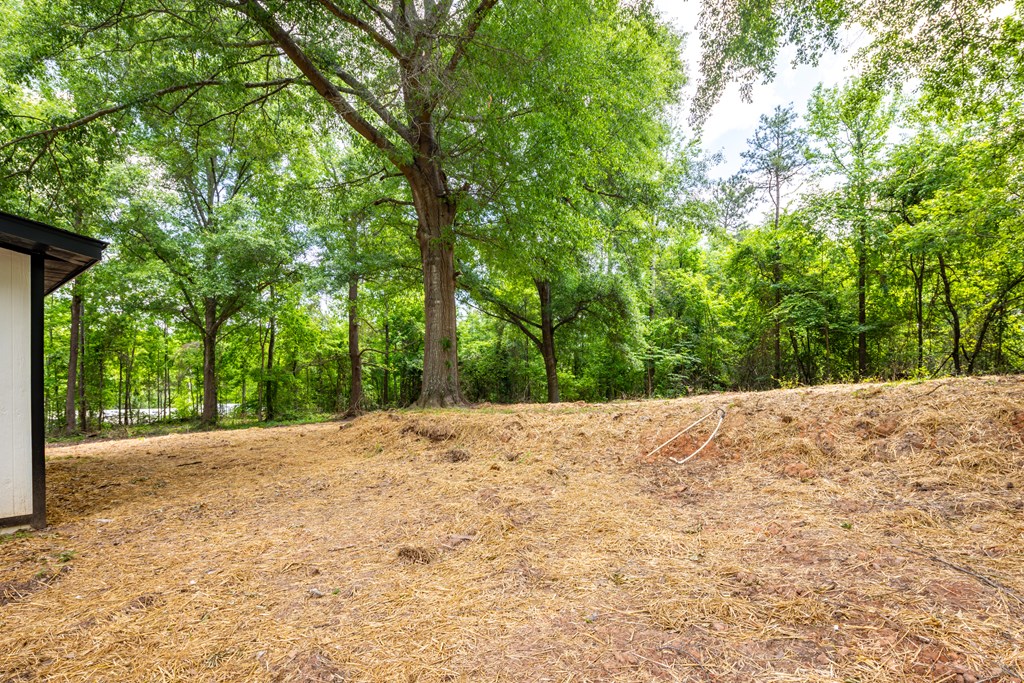 344 Lee Road, Unit 379 Salem, AL 36874 - Photo 26 of 28