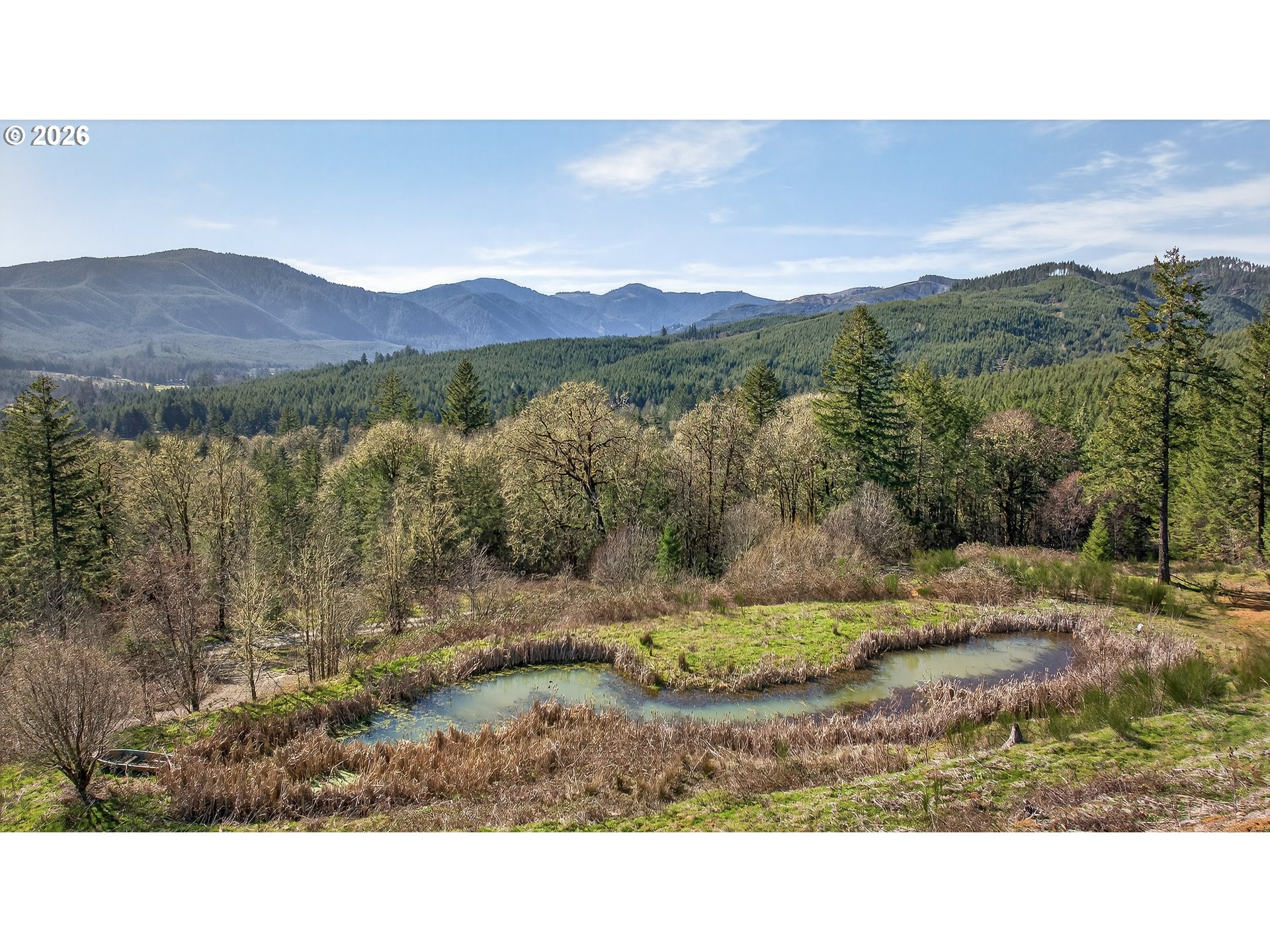 21012 Northwest Trask Toll Road Yamhill, OR 97148 - Photo 11 of 48