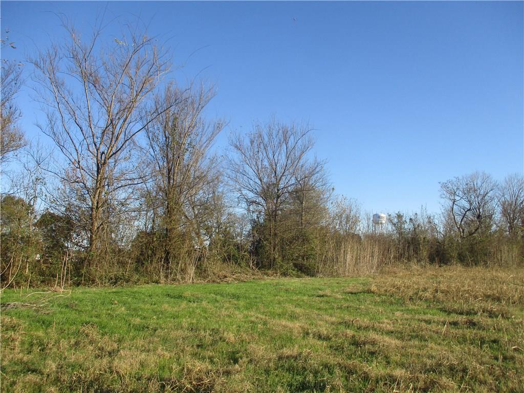 Tbd Tbd Robert Lacaze Road Natchez, LA 71456 - Photo 4 of 6 Gallery Image 4