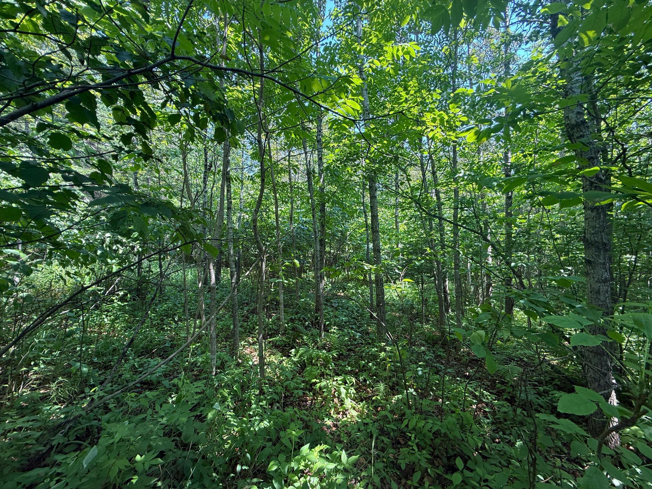 Two Scenic Drive Two Harbors, MN 55616 - Photo 14 of 26