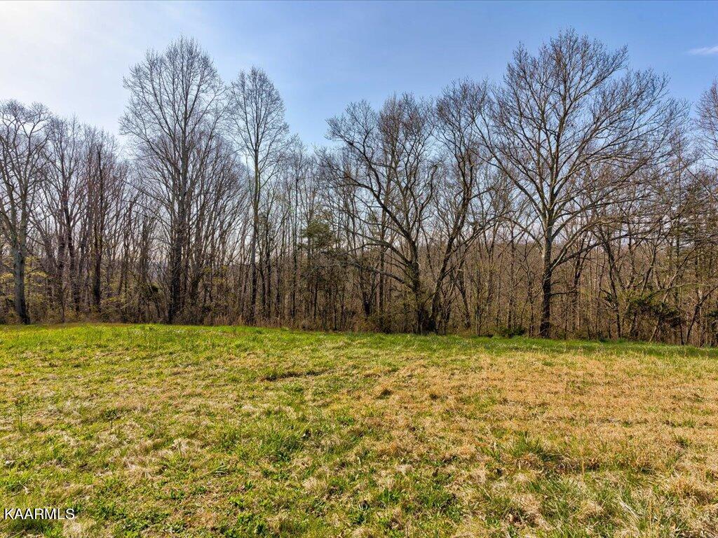 2 Wilson Road Speedwell, TN 37870 - Photo 1 of 28 Tract 2 Wilson Road - 1